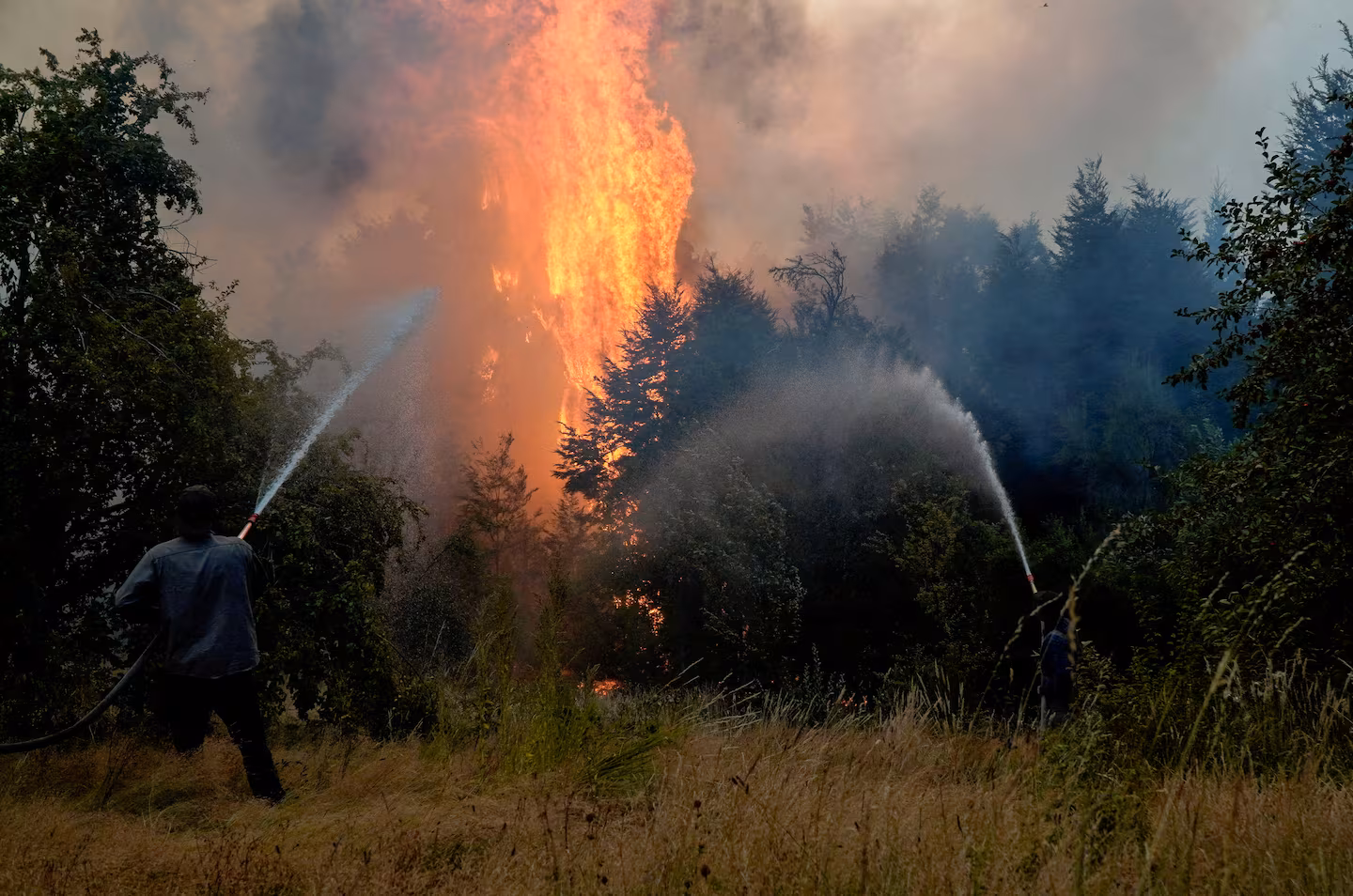 El Gobierno crea la Agencia Federal de Emergencias y endurece penas para los incendiarios