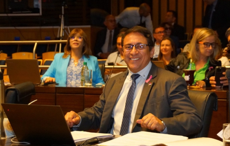 Martín Cesino: "El Parlamento de la Mujer misionera es una usina generadora de leyes”