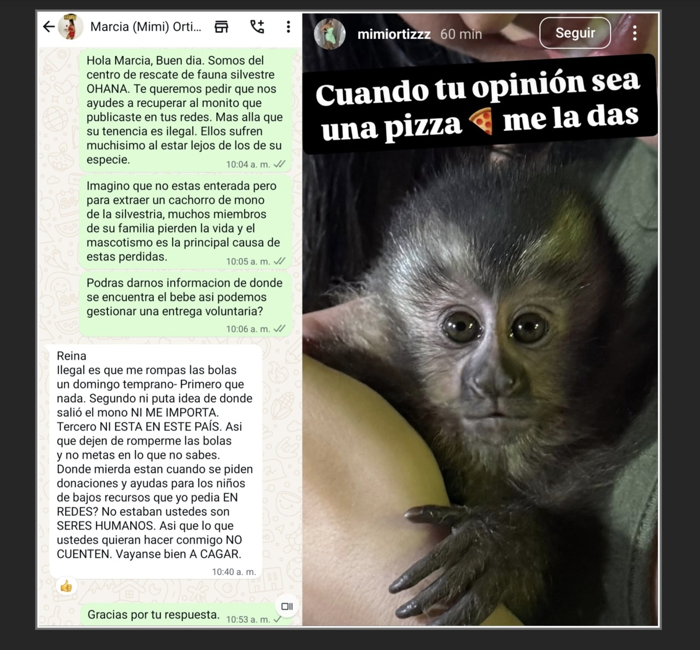 Polémica por influencer y enfermera misionera que se mostró en redes con un mono caí de mascota