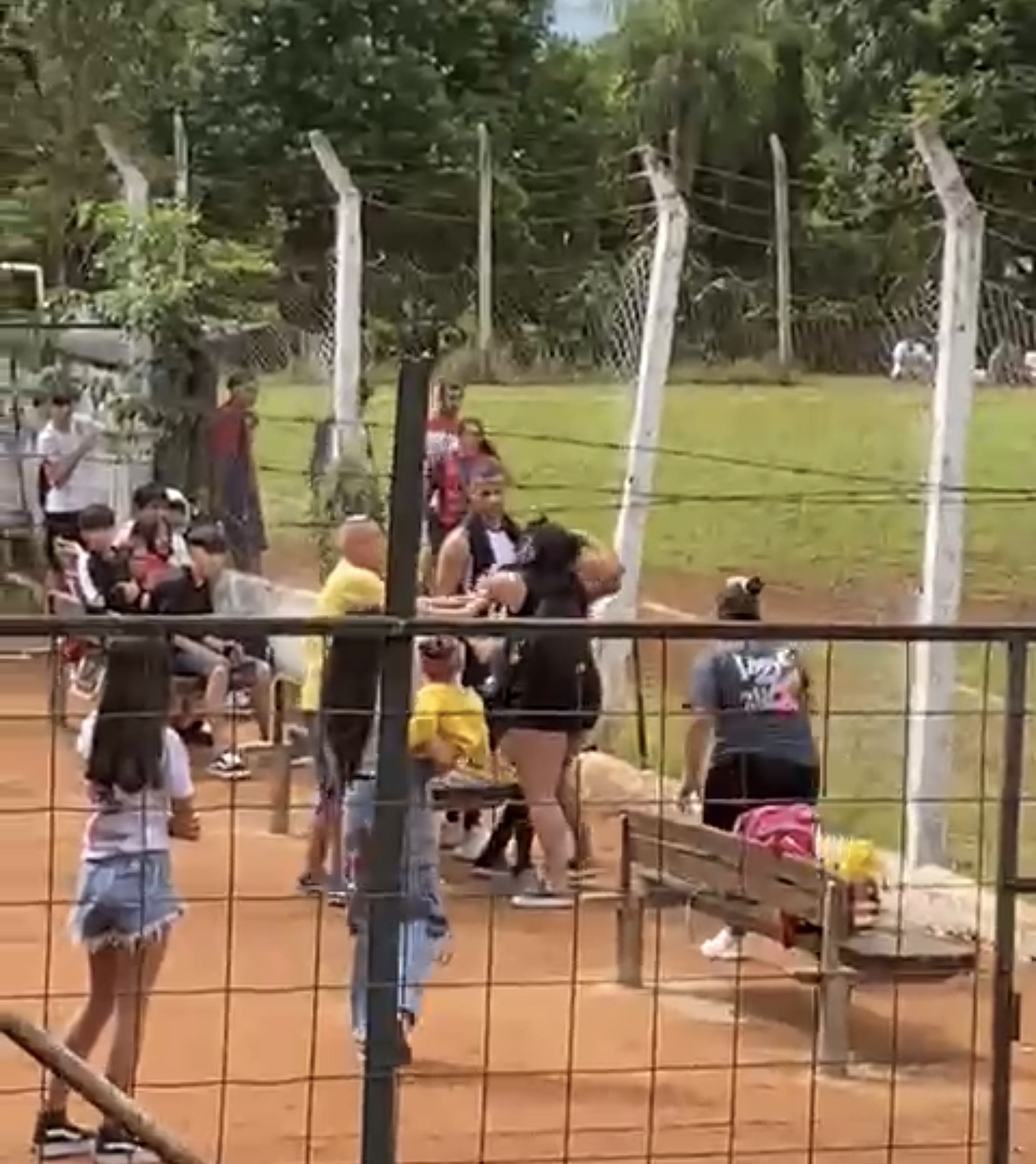 Pelea en una cancha de Eldorado: árbitra y madre, sancionadas con dureza 