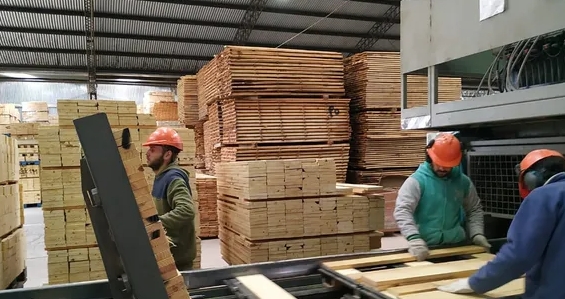 Domingo Paiva: “la industria maderera está trabajando por debajo del 50% de su capacidad”