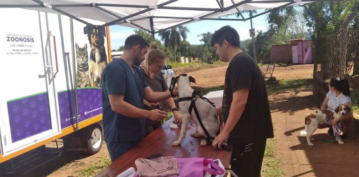 El Quirófano Veterinario Móvil realiza un promedio de 42 cirugías de esterilización semanalmente