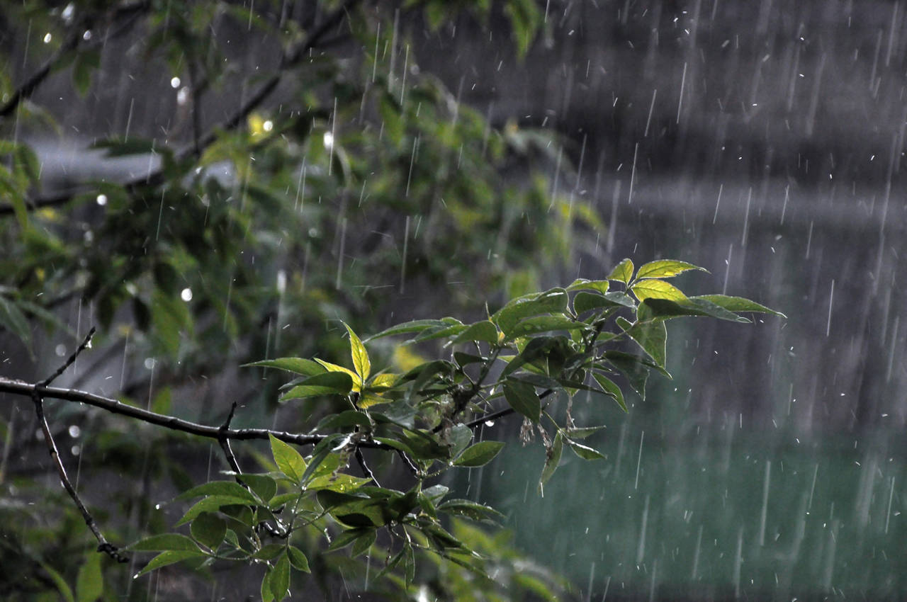Martes con tiempo inestable y probabilidad de lluvias en Misiones
