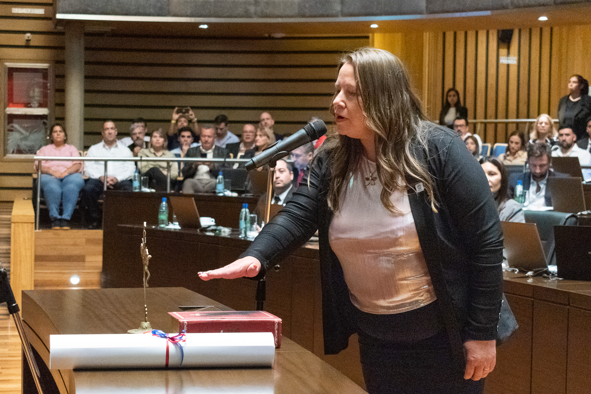 Nancy Umfurer asumió como diputada en reemplazo de Karen Fiege
