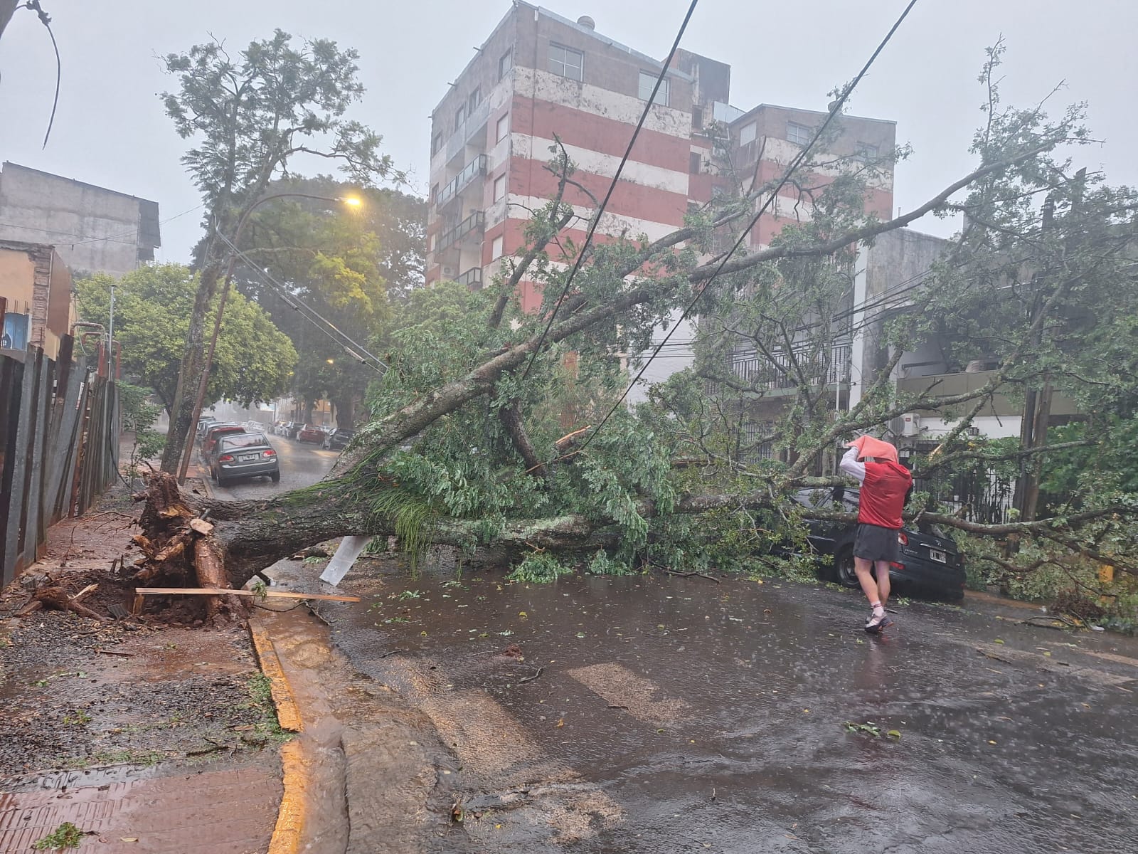 La Policía de Misiones asiste a vecinos afectados por la tormenta