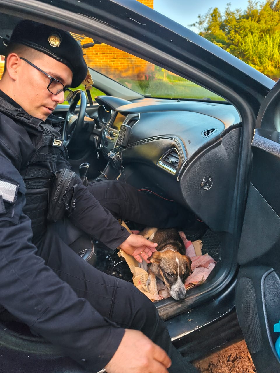 Policías asistieron a un joven cuyo perro fue atropellado en Oberá