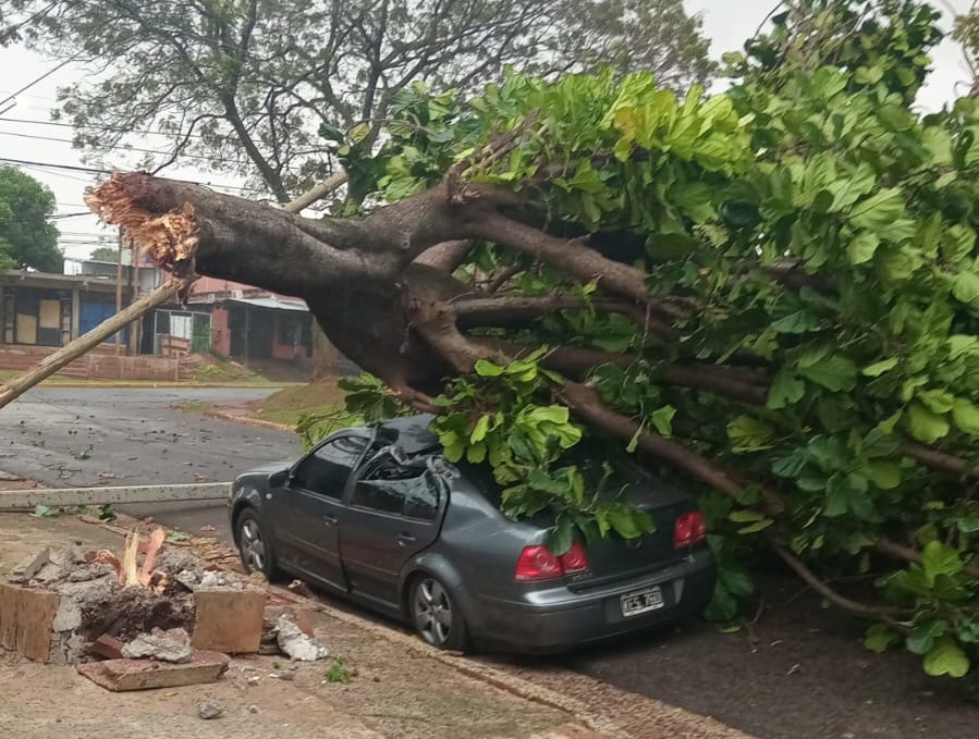 Fuerte temporal azotó la ciudad de Posadas