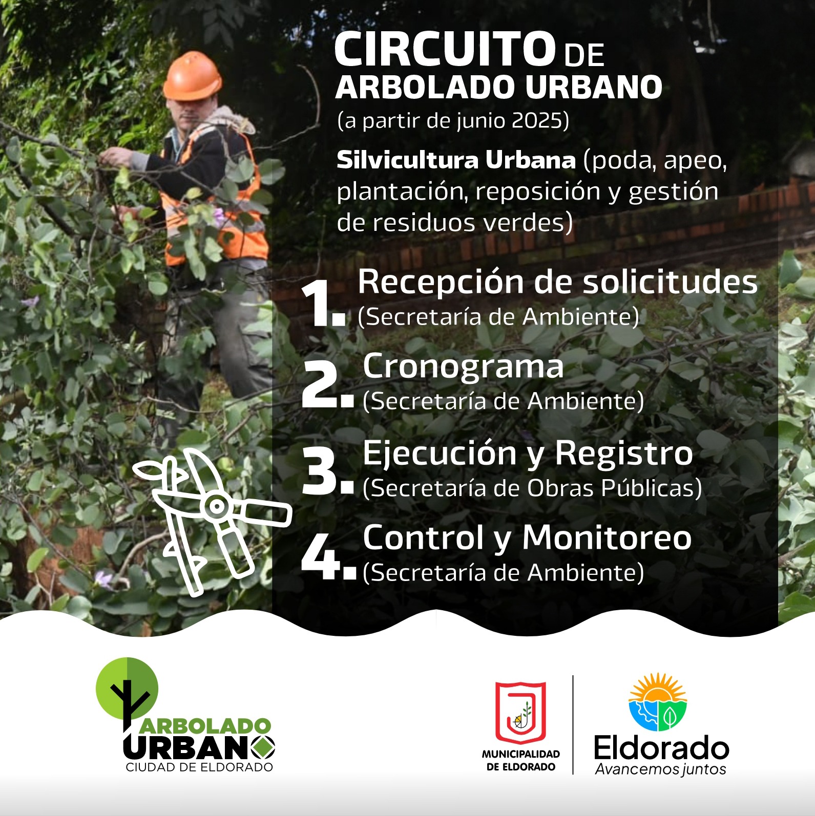 Imagen adicional 3