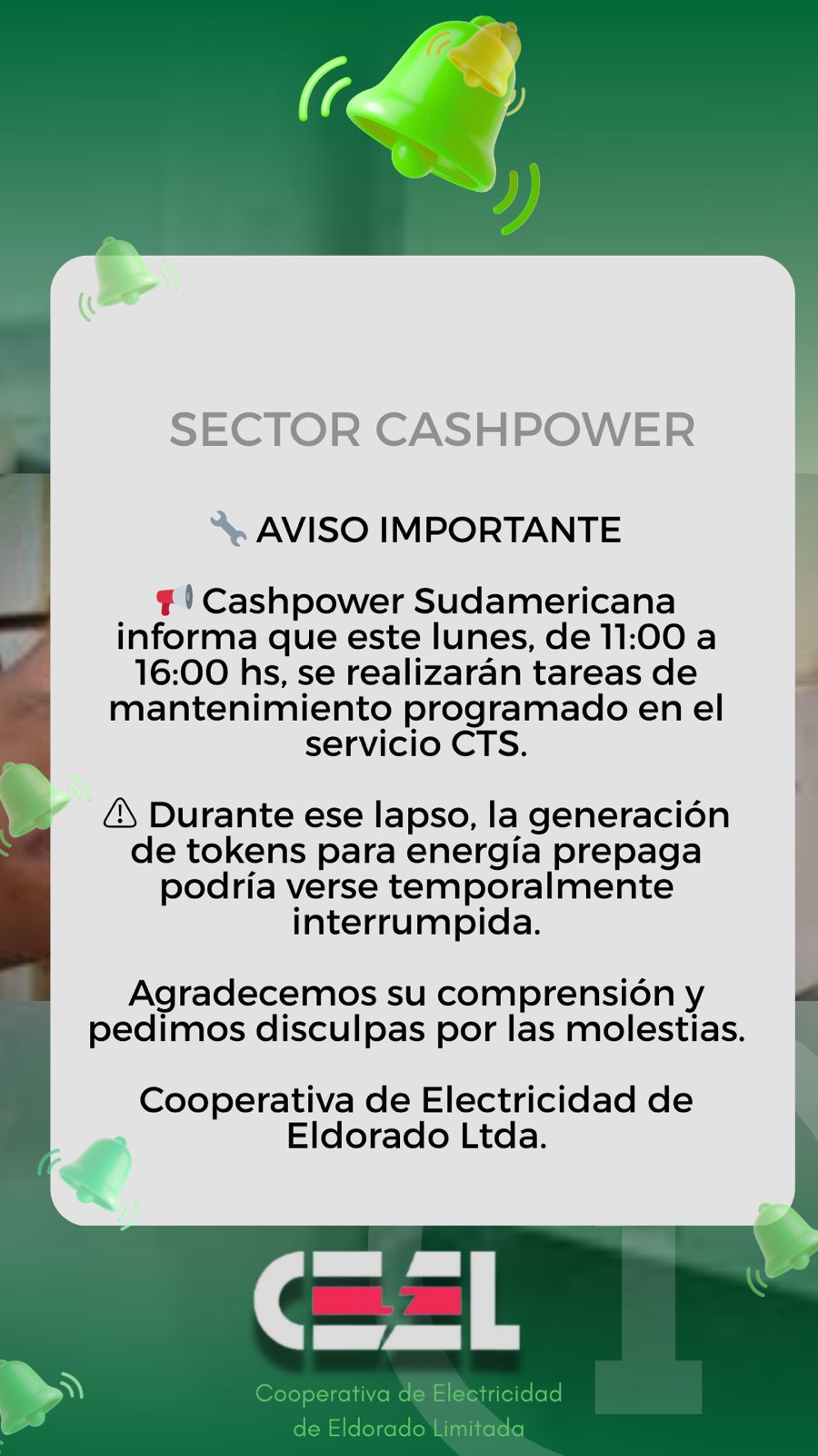 Imagen adicional 1