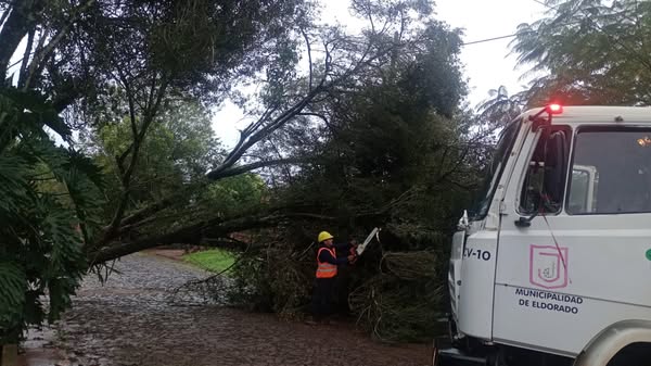 Eldorado: tras el temporal, realizan operativos de limpieza y asistencia en los barrios