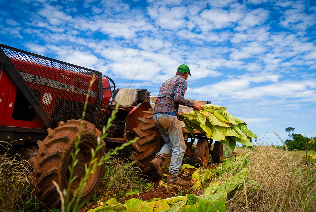 Misiones mantiene su posición como la economía más dinámica del nordeste argentino