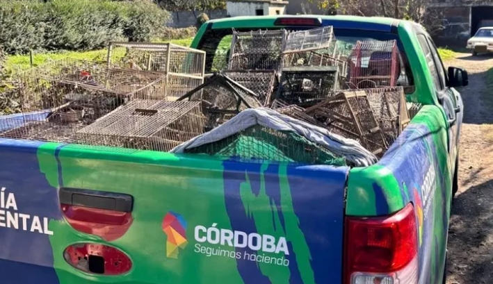Rescatan aves exóticas de distintas especies en Córdoba