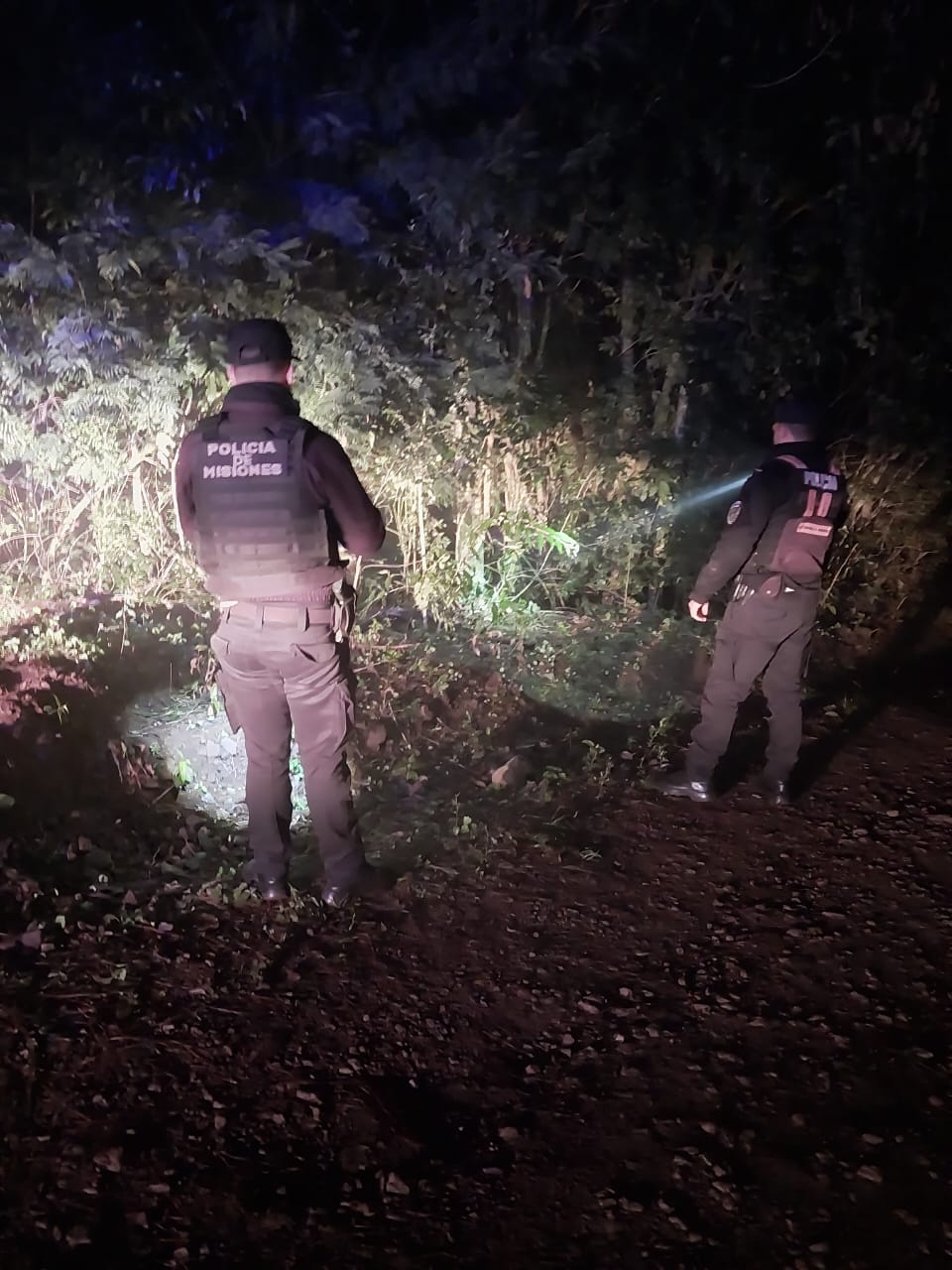 Un joven de 17 años falleció al despistar con su moto en El Soberbio