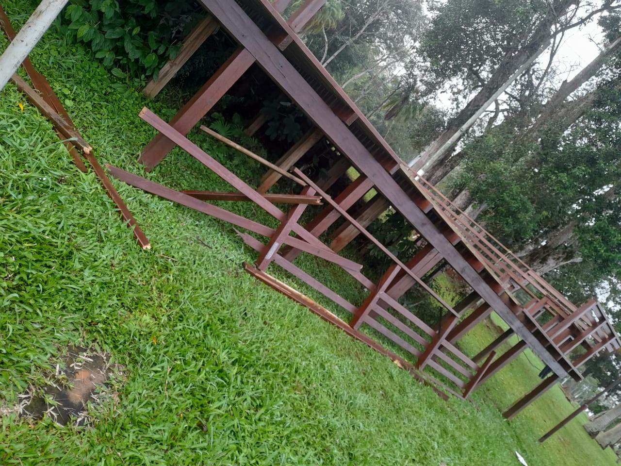 Imagen adicional 3