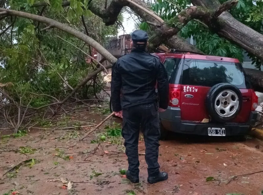 Fuerte temporal en el norte misionero: asisten a damnificados y restablecen servicios en Puerto Iguazú y Puerto Esperanza