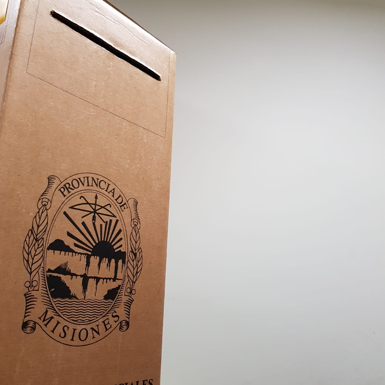 Rige la veda electoral en Misiones