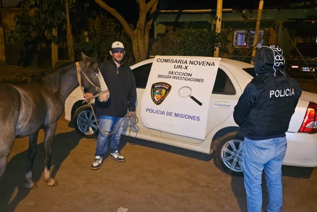 La Policía recuperó una yegua robada que fue ofrecida en Marketplace en Posadas