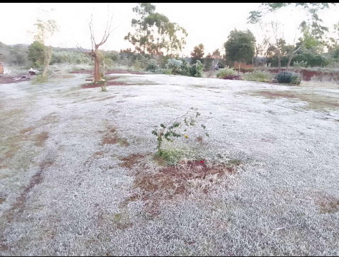 Se registraron heladas intensas y temperaturas bajo cero en varias localidades de Misiones