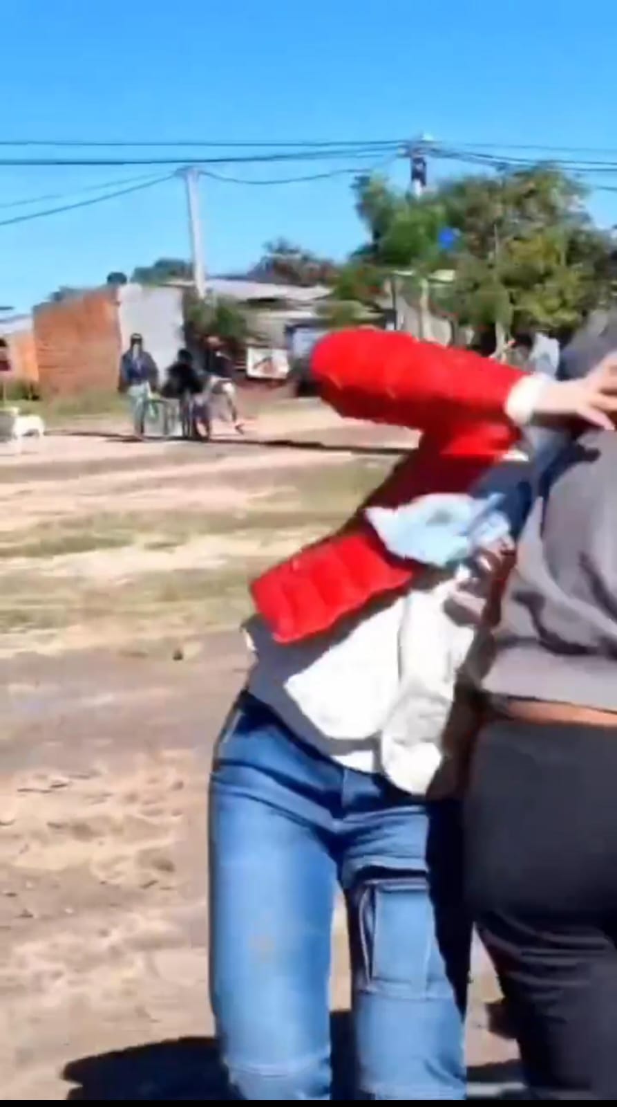 Salvaje agresión a una diputada provincial de Formosa: acusan a una patota del gobierno de Gildo Insfrán