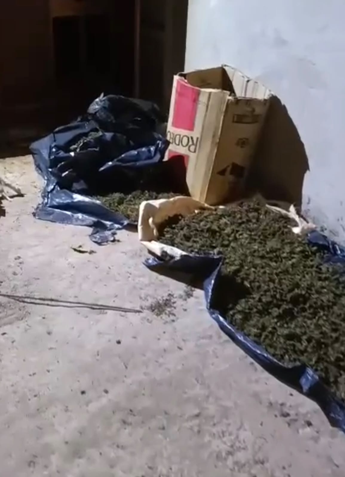 Incautaron más de 40 kilos de marihuana en una casa abandonada de Puerto Esperanza