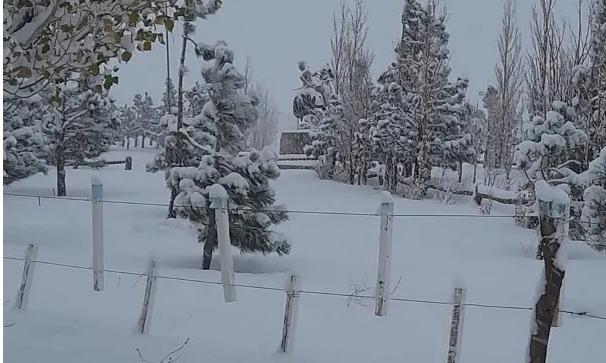 Ola de frío polar: en Mendoza priorizan el suministro de gas a los hogares