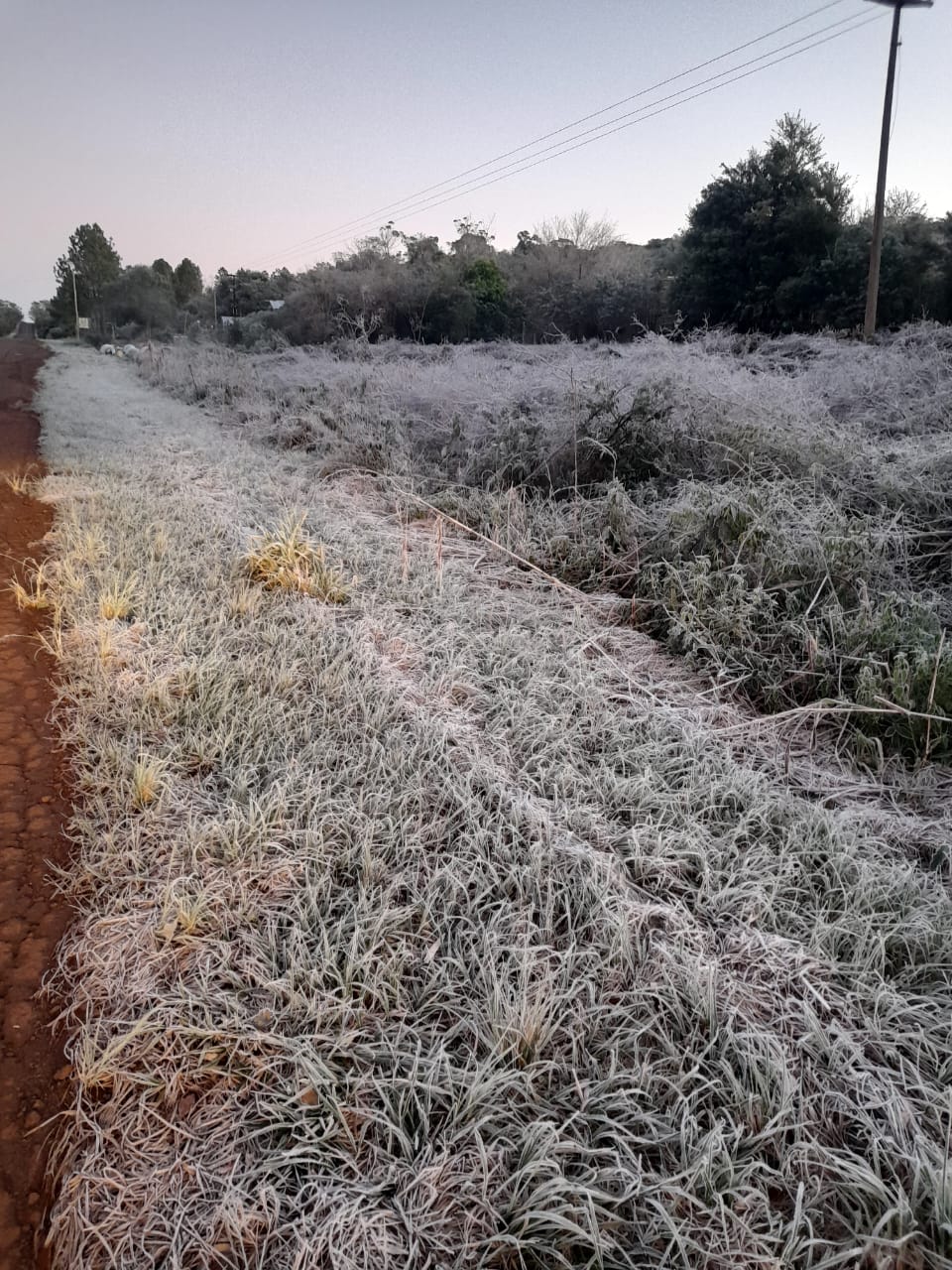 Miércoles con temperatura mínima de -1 °C y sensación térmica de -4 °C