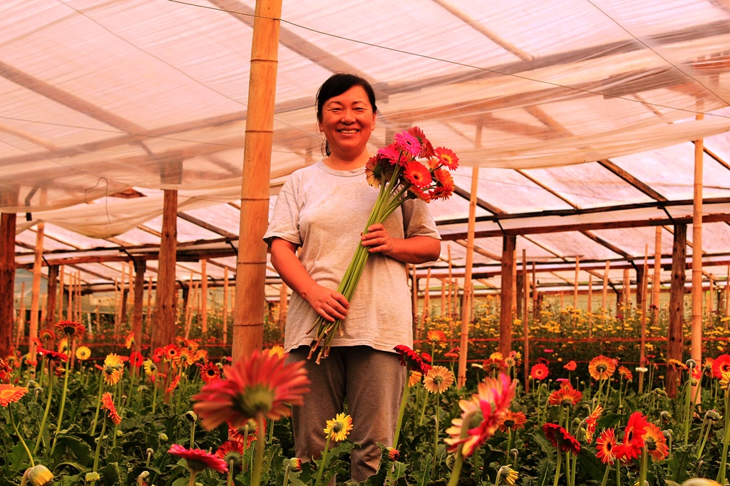 Misiones contará con una línea de créditos para la floricultura familiar
