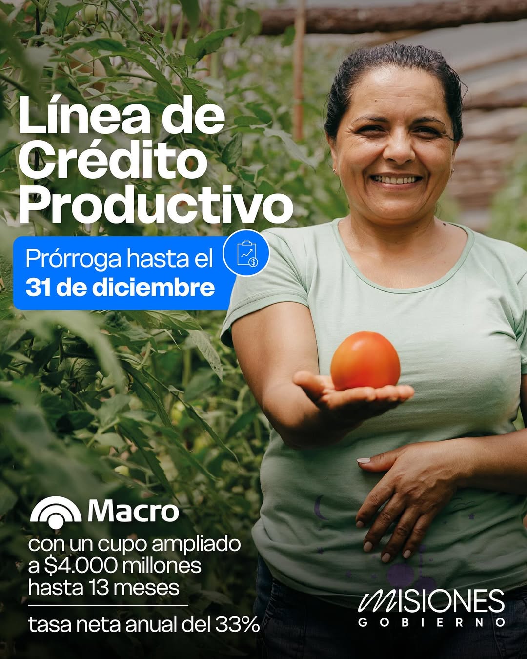 Imagen adicional 1