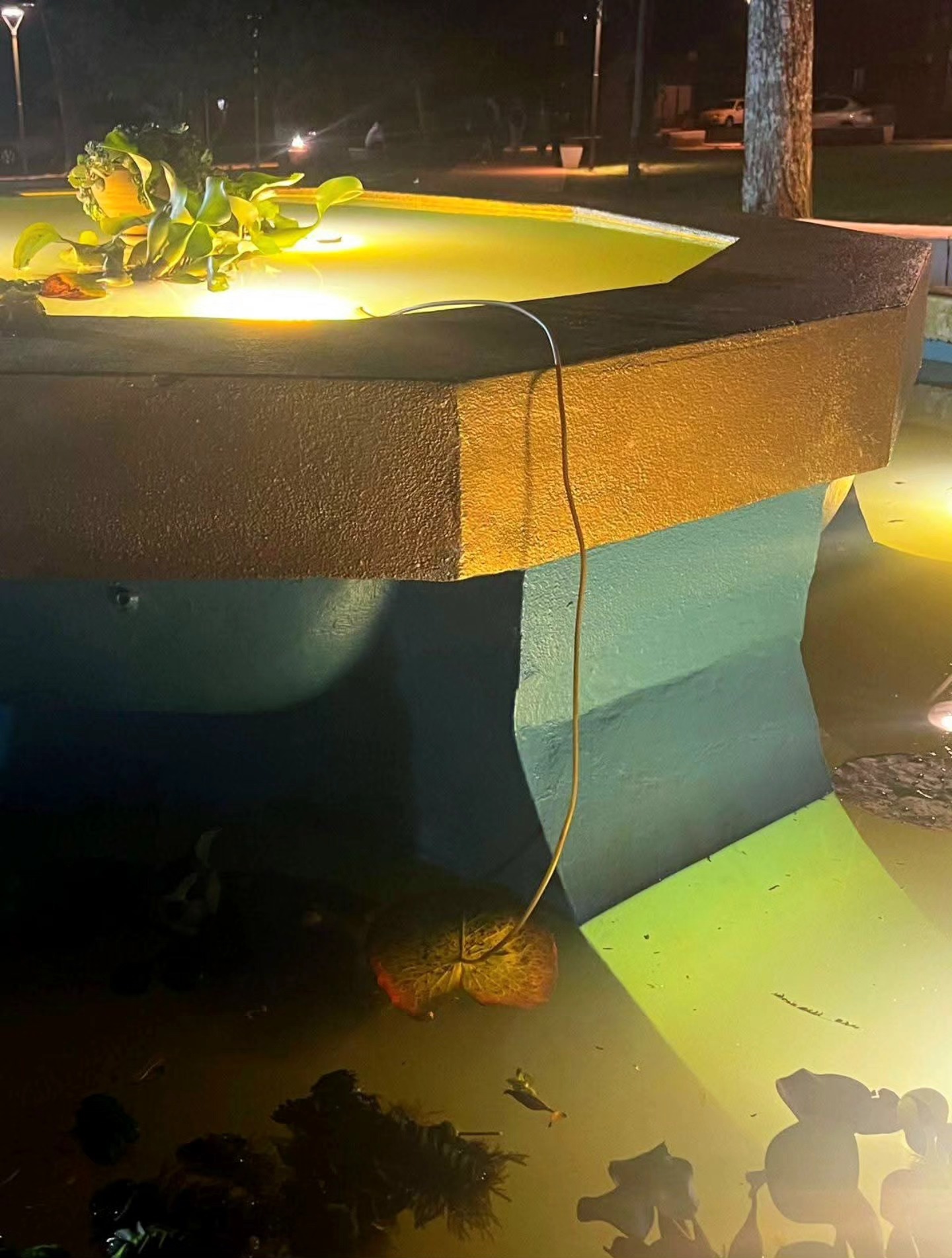 Volvieron a vandalizar la Plaza San Martín en Montecarlo