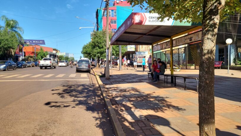 La Municipalidad de Eldorado brinda un servicio gratuito de transporte durante el receso escolar
