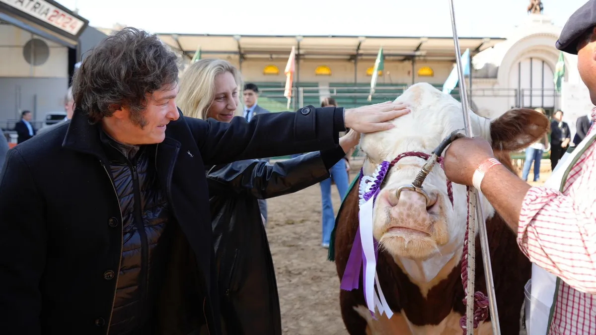 Expectativa en el campo por posibles anuncios de Milei en La Rural - Imagen 1
