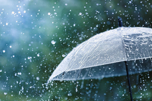 Fin de semana con lluvias y tormentas en Misiones