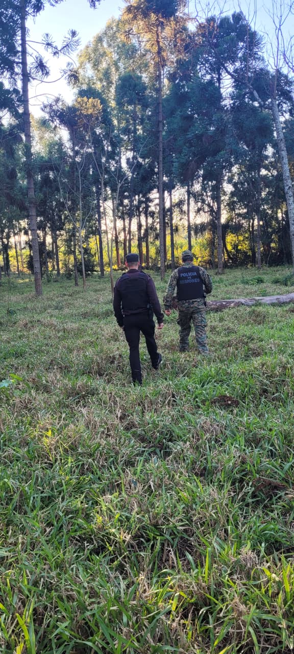 Detuvieron a un hombre por robar palmitos en una reserva de Comandante Andresito