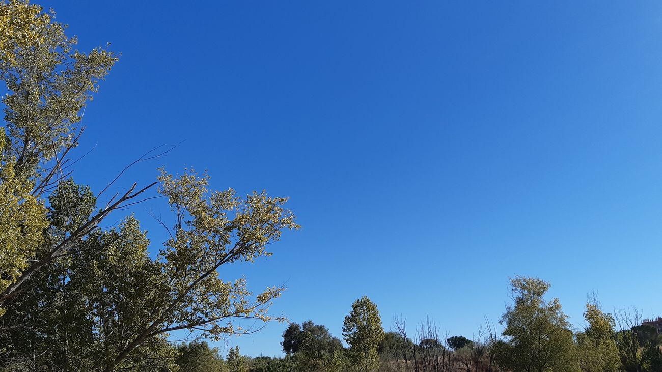 Miércoles con buen tiempo y temperaturas agradables en Misiones