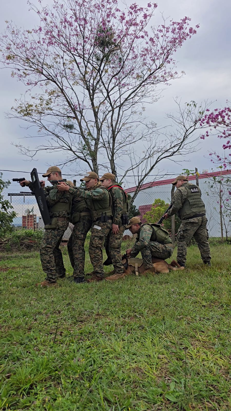 La Policía capacitó a guías y perros K9 para fortalecer la seguridad y prevención en Misiones 2