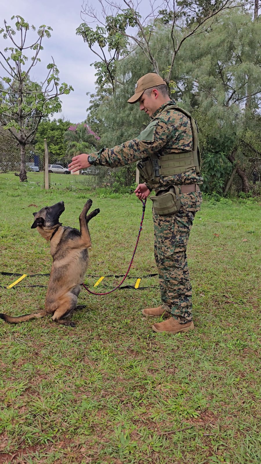 La Policía capacitó a guías y perros K9 para fortalecer la seguridad y prevención en Misiones 3