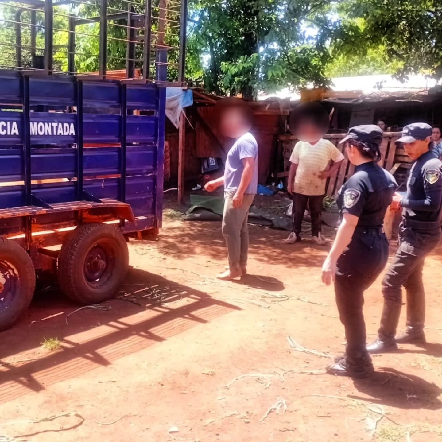 Maltrato animal: Rescataron a un caballo que colapsó de agotamiento en Posadas 3