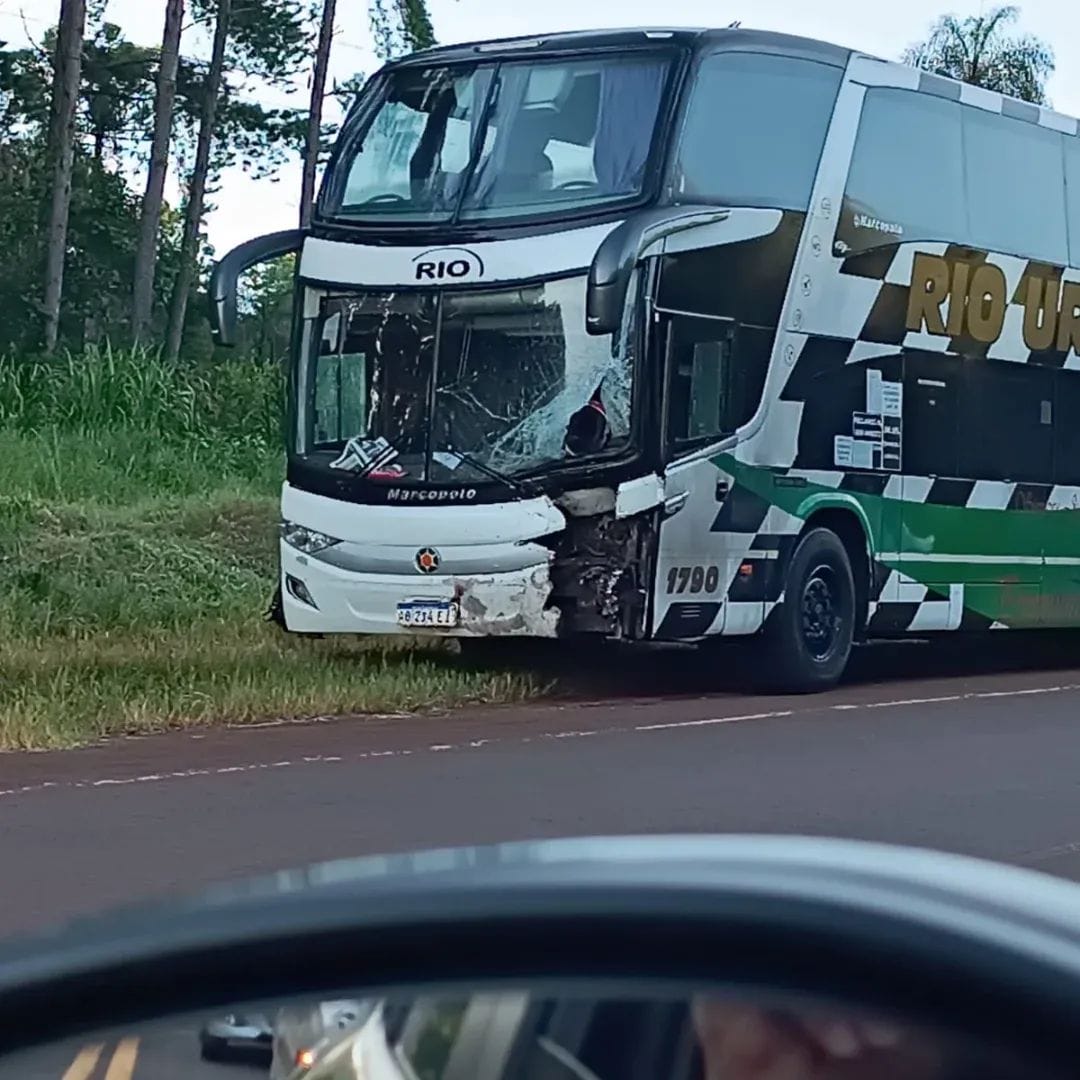 Hipólito Yrigoyen: dos personas murieron en un choque frontal entre una moto y un colectivo en la Ruta 12 2