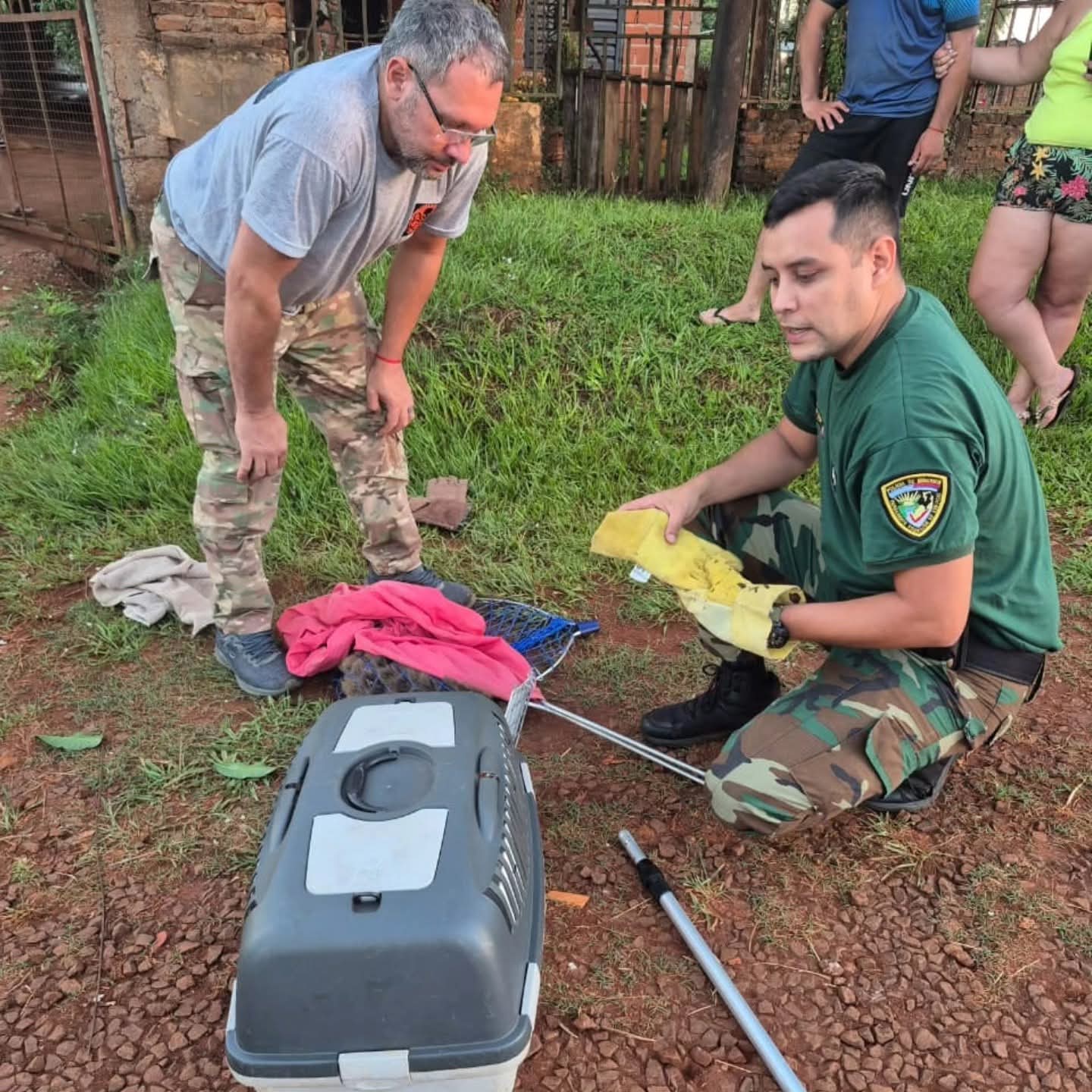 Rescataron a un mono carayá herido que era perseguido por perros en Garupá 3