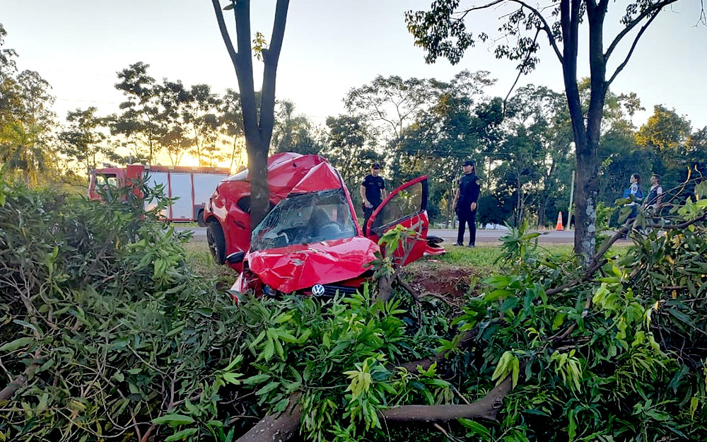 Fatal accidente en Puerto Rico: una joven perdió la vida tras despistar y chocar contra un árbol en la Ruta 12