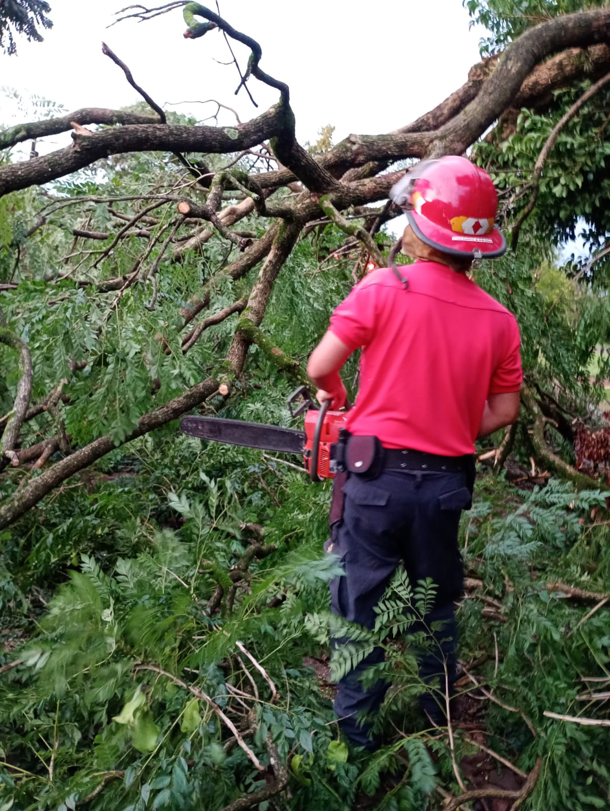 La Policía coordinó intervenciones en distintas localidades de Misiones afectadas por el temporal 2