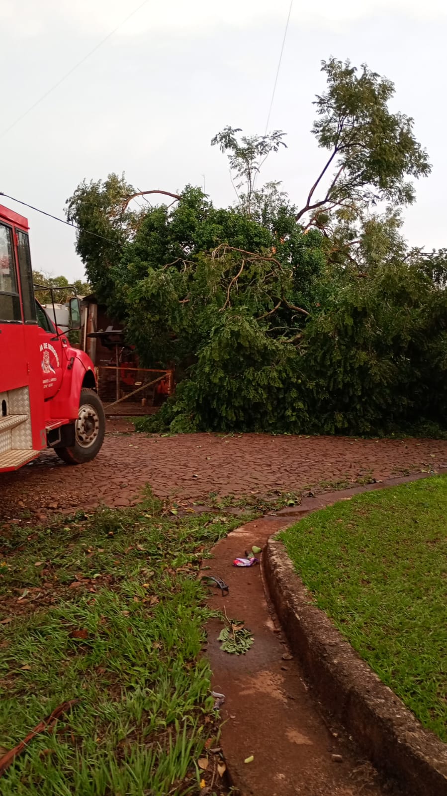 La Policía coordinó intervenciones en distintas localidades de Misiones afectadas por el temporal 3