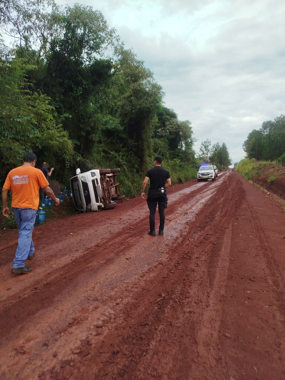 Un camión despistó y terminó en la banquina en Jardín América