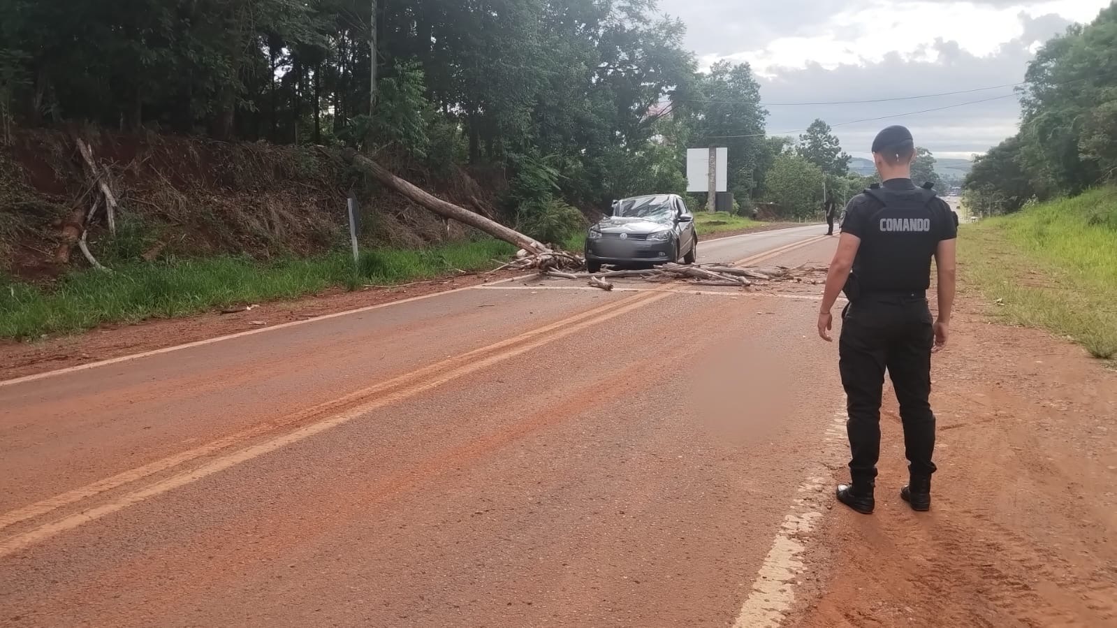 San Antonio: un árbol cayó sobre un auto en la Ruta 101 y el conductor resultó herido 2