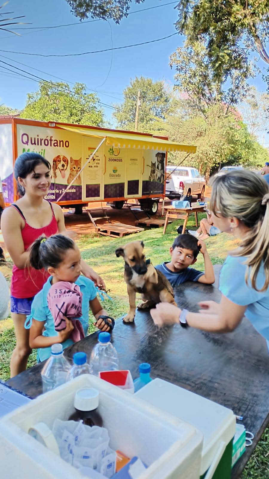 El quirófano móvil llega esta semana al barrio Avanti con atención veterinaria gratuita