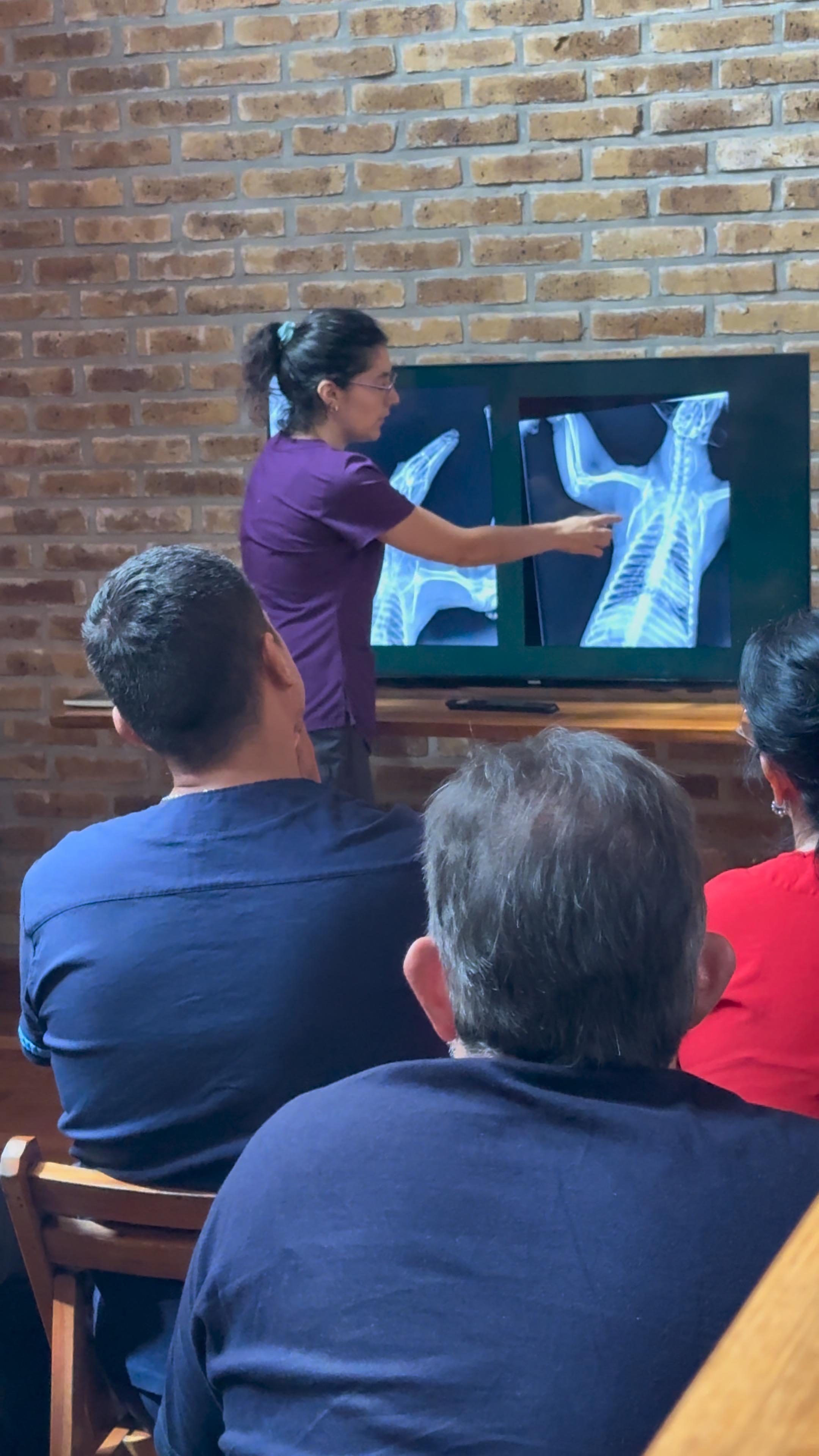 Veterinarios de Misiones se capacitaron en emergencias de fauna silvestre en la reserva OHANA 2