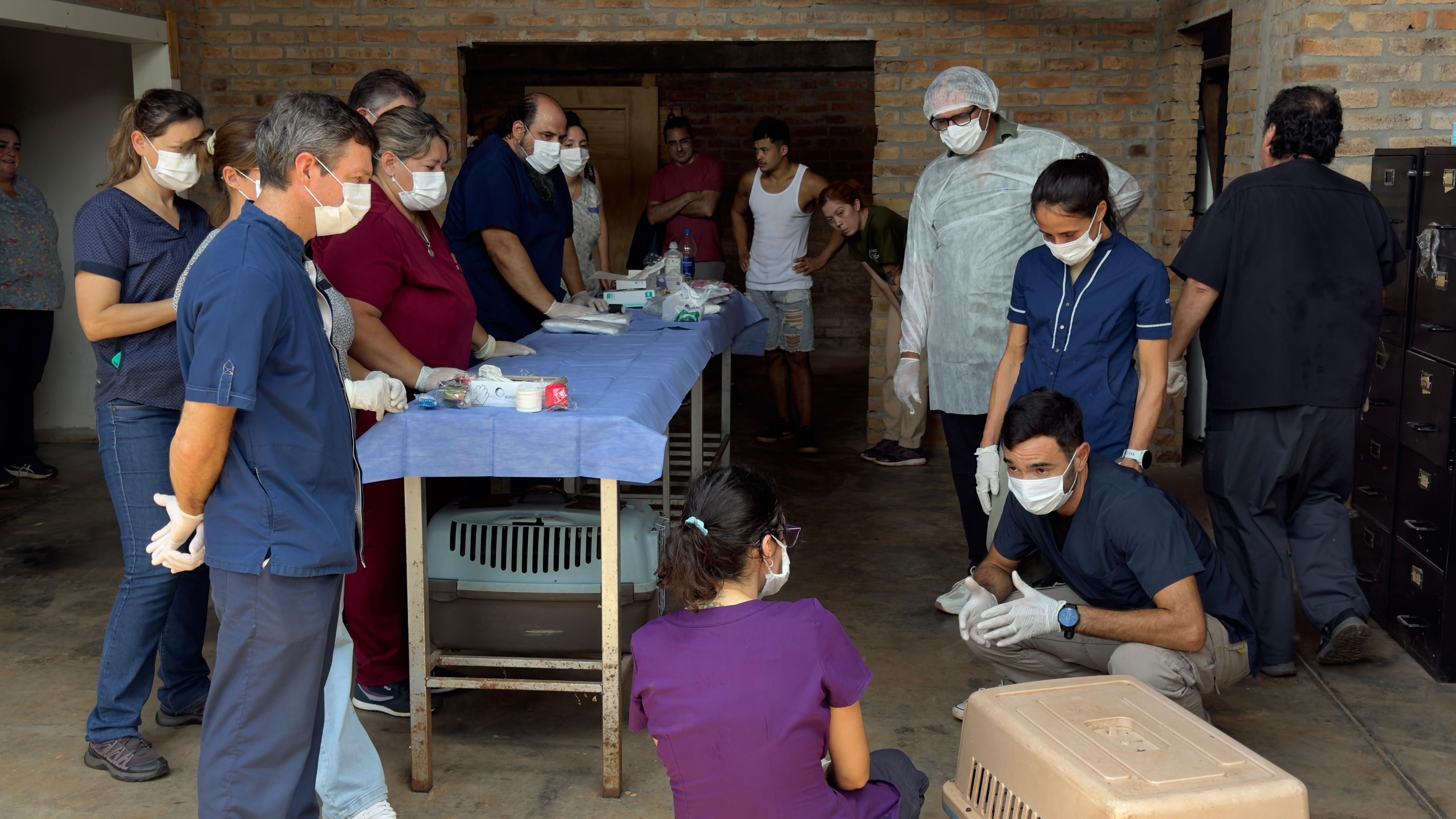 Veterinarios de Misiones se capacitaron en emergencias de fauna silvestre en la reserva OHANA 5