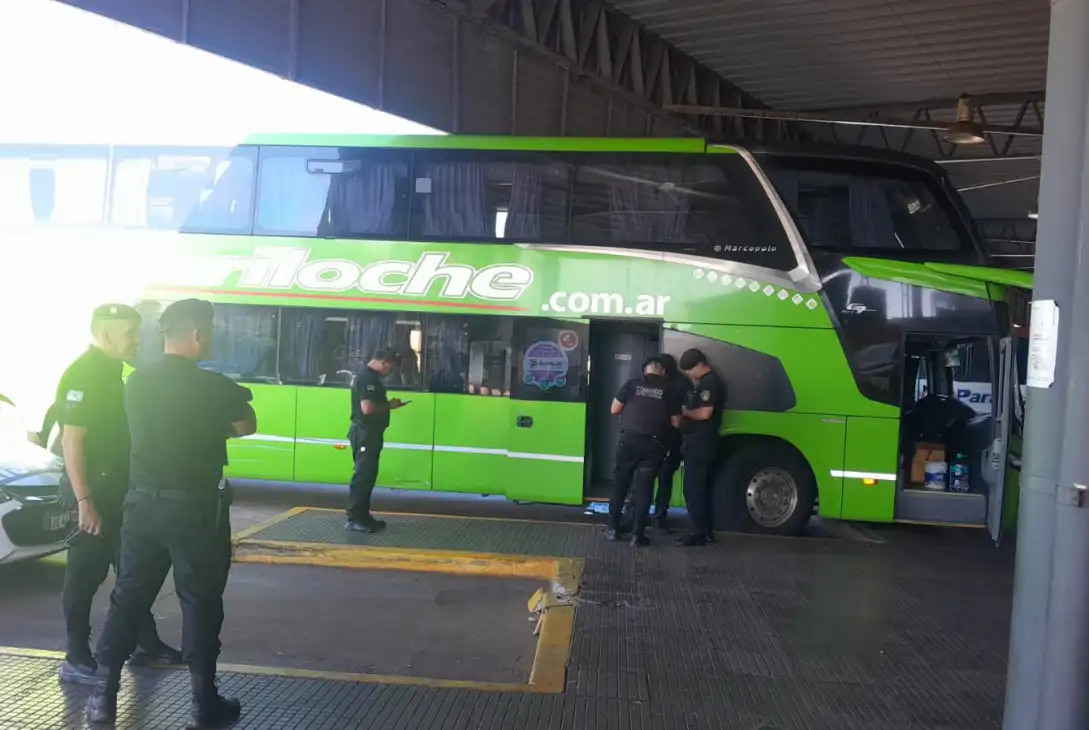 Hallaron sin vida a una reconocida activista social en un colectivo que llegó a Posadas