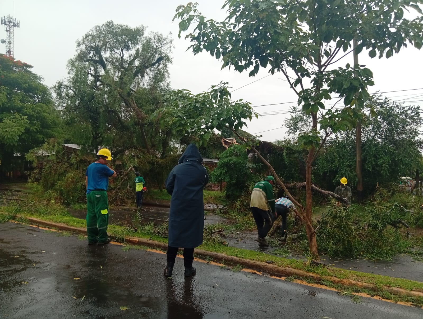Posadas: un árbol caído y cables sueltos complican el tránsito en avenida Zapiola 2