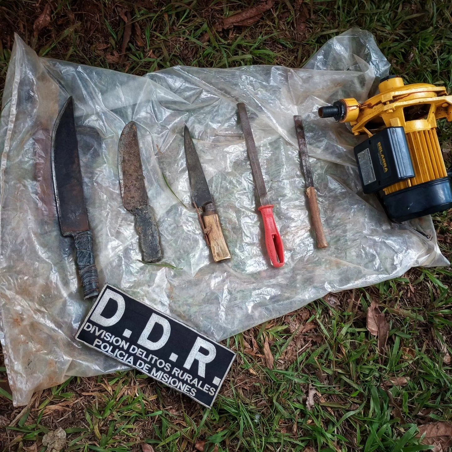 Montecarlo: detuvieron a tres cazadores furtivos tras una persecución 2